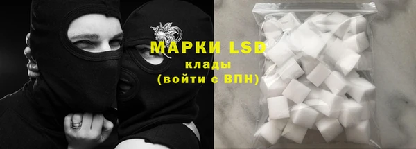 ГАЛЛЮЦИНОГЕННЫЕ ГРИБЫ Алексин