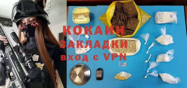 ГАЛЛЮЦИНОГЕННЫЕ ГРИБЫ Алексин