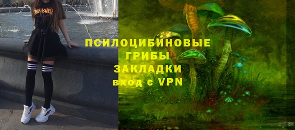 ГАЛЛЮЦИНОГЕННЫЕ ГРИБЫ Алексин