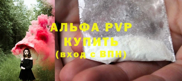 apvp Алзамай
