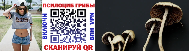 Псилоцибиновые грибы мухоморы  гидра   Ревда 